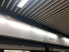 -锦江乐园(地铁站)