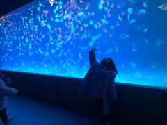 -多彩贵州城极地海洋世界