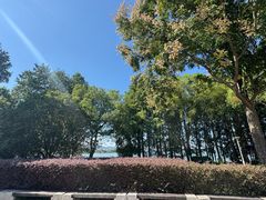 -长广溪湿地公园