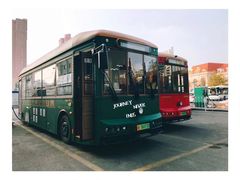 -王记西鎮电烤肉(汶上路店)