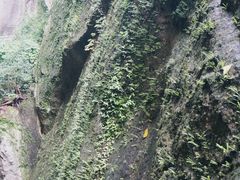 -柯岩风景区