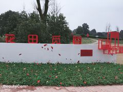 -铁山坪森林公园