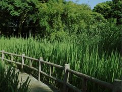 -成都市活水公园