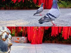 -古德寺