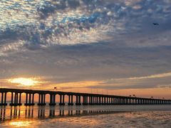 -宝安西湾红树林湿地公园