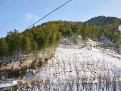 -四明山国家森林公园