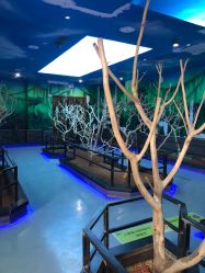 -未来动物城动物主题公园(大悦城店)