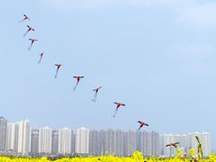 -洋湖国家湿地公园