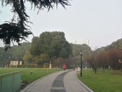-荆川公园