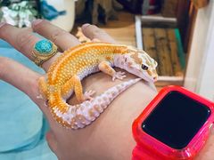 -Rabbit Cafe私房西餐甜点咖啡(栖霞路店)