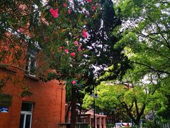 -上海外国语大学(虹口校区)