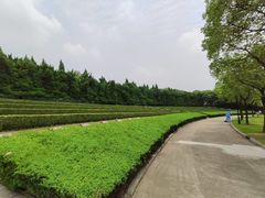 -上海市龙华烈士陵园