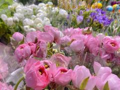 -双季花艺园艺市场(浦东店)