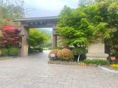 -习家池
