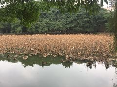 -西南交通大学(九里校区)