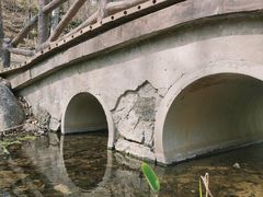 -白水寺森林公园