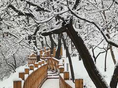 -长辛店二七公园