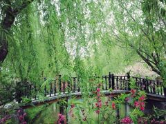 iphone_upload_pic-南汇桃花村