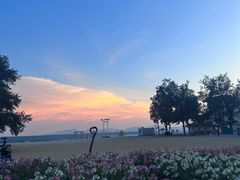 -玫瑰海岸文化旅游度假区