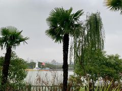 -黄兴公园