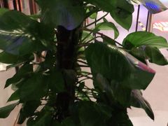 -眉州东坡(通州店)