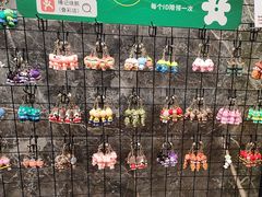 -椿记烧鹅(叠彩店)