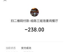 -陈三娃泡姜鸡