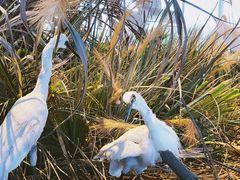 -漩门湾国家湿地公园