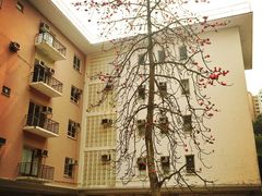 iphone_upload_pic-香港大学