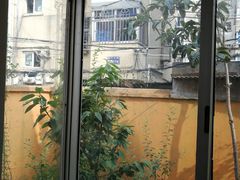 -吴家馄饨