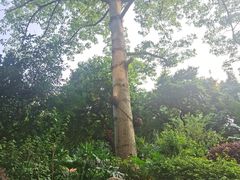 -广州花园酒店