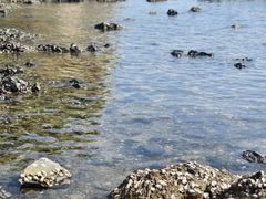 -大连金石滩滨海国家地质公园