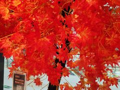 -老湘亲·品鉴湘菜(蔡塘爱琴海店)