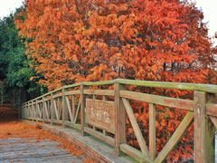 -上海海湾国家森林公园