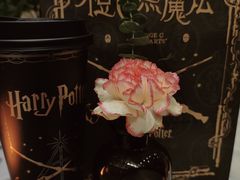 -奈雪的茶(正弘城PRO+店)