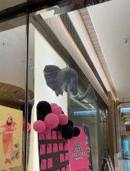 -YASAKI国际舞蹈中心