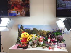 -Sony Store索尼(广州正佳店)