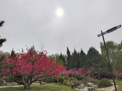 -元大都城垣遗址公园