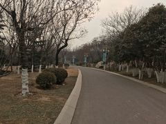 -济南国际园博园