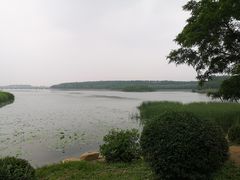 -丁香湖公园