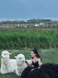 -女王风尚STUDIO·轻奢化定制