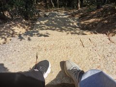 -梧桐山风景名胜区