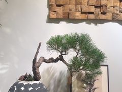 -自由生长植物工作室(深港花卉中心店)