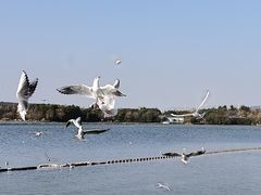 -渤公岛生态公园