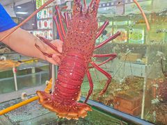 -寻味顺德·南记酒家·传统顺德菜·鱼生(广源路店)
