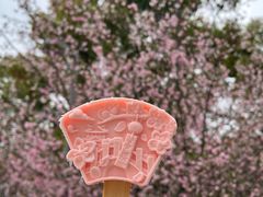 -武汉大学-樱园