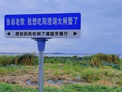 -莲花岛景区
