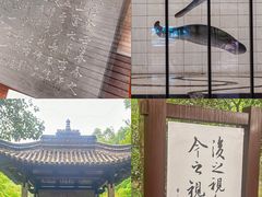 -兰亭风景区