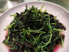 -松沪名灶·豆浆鱼头·新上海菜(飞航吾悦广场店)