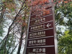 -铁山坪森林公园